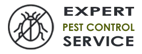 Pest Control Exterminator Seattle WA